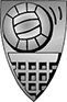 Volley-ball